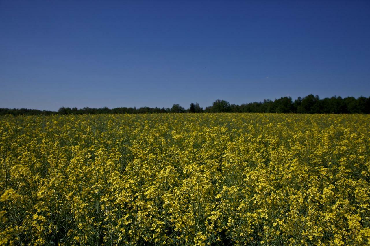 Agroturystyka Wichrowe Wzgorze Osiek  외부 사진